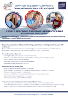 Learner Teaching Assistant